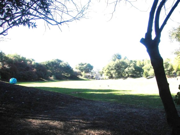Codornices Park Playing Field